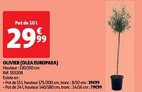 Olivier olea europaea-Huismerk - Auchan