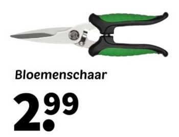 Promoties Bloemenschaar - Huismerk - Wibra - Geldig van 18/03/2024 tot 24/03/2024 bij Wibra