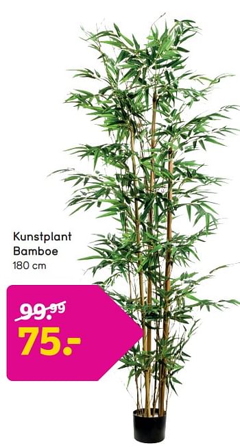 Promoties Kunstplant bamboe - Huismerk - Leen Bakker - Geldig van 18/03/2024 tot 24/03/2024 bij Leen Bakker