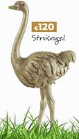 Promoties Deco struisvogel - Huismerk - Euroshop - Geldig van 14/03/2024 tot 31/05/2024 bij Euro Shop