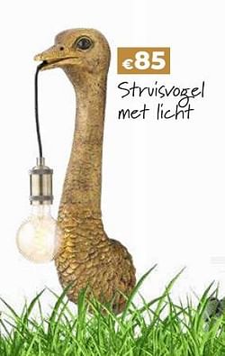 Deco struisvogel met licht