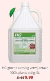 Hg groene aanslag verwijderaar-HG