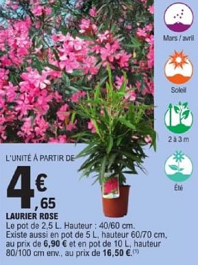 Promoties Laurier rose - Huismerk - E.Leclerc - Geldig van 19/03/2024 tot 30/03/2024 bij E.Leclerc