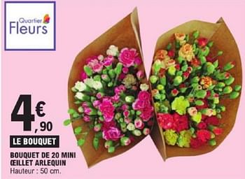Promoties Bouquet de 20 mini oeillet arlequin - Huismerk - E.Leclerc - Geldig van 19/03/2024 tot 30/03/2024 bij E.Leclerc
