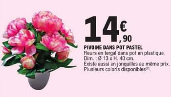 Promotions Pivoine dans pot pastel - Produit Maison - E.Leclerc - Valide de 19/03/2024 à 30/03/2024 chez E.Leclerc