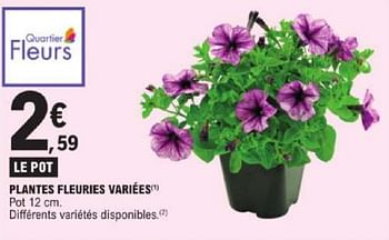 Promotions Plantes fleuries variées - Produit Maison - E.Leclerc - Valide de 19/03/2024 à 30/03/2024 chez E.Leclerc