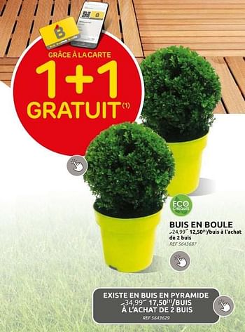 Promotions Buis en boule - Produit maison - Brico - Valide de 13/03/2024 à 25/03/2024 chez Brico