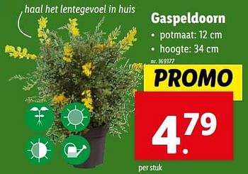 Promotions Gaspeldoorn - Produit maison - Lidl - Valide de 27/03/2024 à 02/04/2024 chez Lidl