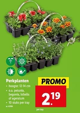 Promoties Perkplanten - Huismerk - Lidl - Geldig van 27/03/2024 tot 02/04/2024 bij Lidl