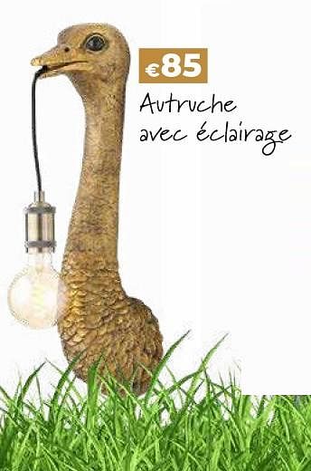 Promotions Deco autruche avec éclairage - Produit Maison - Euroshop - Valide de 14/03/2024 à 31/05/2024 chez Euro Shop