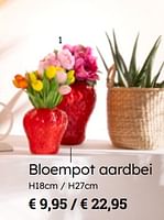 Promoties Bloempot aardbei - Huismerk - Multi Bazar - Geldig van 08/03/2024 tot 30/06/2024 bij Multi Bazar
