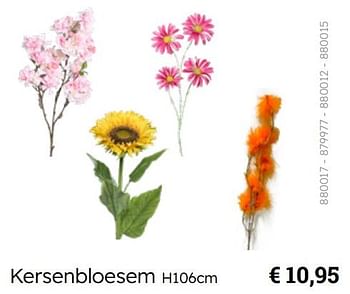 Promoties Kersenbloesem - Huismerk - Multi Bazar - Geldig van 08/03/2024 tot 30/06/2024 bij Multi Bazar