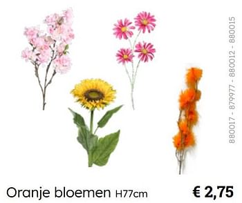 Promoties Oranje bloemen - Huismerk - Multi Bazar - Geldig van 08/03/2024 tot 30/06/2024 bij Multi Bazar