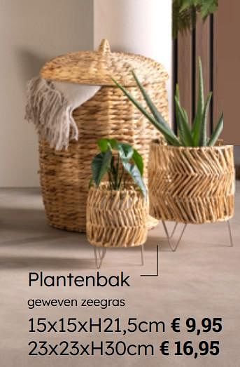 Promoties Plantenbak - Huismerk - Multi Bazar - Geldig van 08/03/2024 tot 30/06/2024 bij Multi Bazar