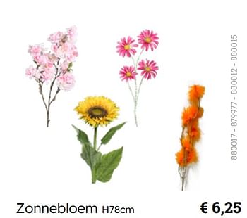 Promoties Zonnebloem - Huismerk - Multi Bazar - Geldig van 08/03/2024 tot 30/06/2024 bij Multi Bazar