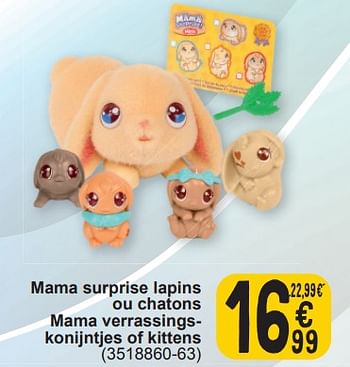 Promoties Mama surprise lapins ou chatons mama verrassingskonijntjes of kittens - Mama - Geldig van 19/03/2024 tot 30/03/2024 bij Cora