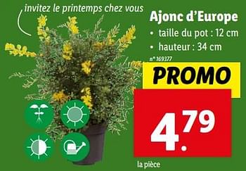 Promotions Ajonc d’europe - Produit maison - Lidl - Valide de 27/03/2024 à 02/04/2024 chez Lidl