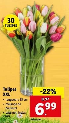 Promoties Tulipes xxl - Huismerk - Lidl - Geldig van 27/03/2024 tot 02/04/2024 bij Lidl