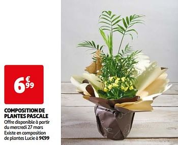 Promoties Composition de plantes pascale - Huismerk - Auchan - Geldig van 26/03/2024 tot 01/04/2024 bij Auchan