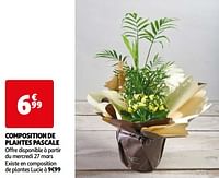 Composition de plantes pascale-Huismerk - Auchan
