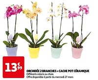 Orchidée 2 branches + cache pot céramique-Huismerk - Auchan