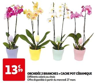 Promoties Orchidée 2 branches + cache pot céramique - Huismerk - Auchan - Geldig van 26/03/2024 tot 01/04/2024 bij Auchan
