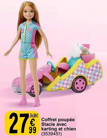 Promoties Coffret poupée stacie avec karting et chien - Mattel - Geldig van 19/03/2024 tot 08/04/2024 bij Cora