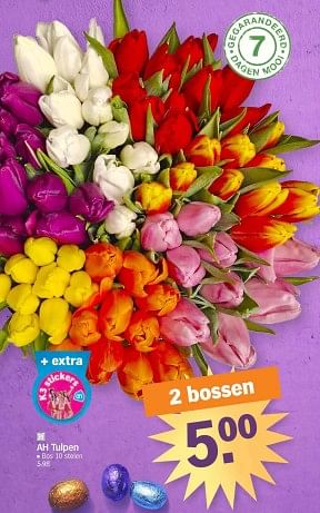 Promoties Ah tulpen - Huismerk - Albert Heijn - Geldig van 25/03/2024 tot 01/04/2024 bij Albert Heijn