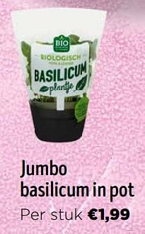 Promotions Jumbo basilicum in pot - Produit Maison - Jumbo - Valide de 16/03/2024 à 02/04/2024 chez Jumbo