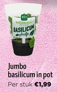 Jumbo basilicum in pot-Huismerk - Jumbo