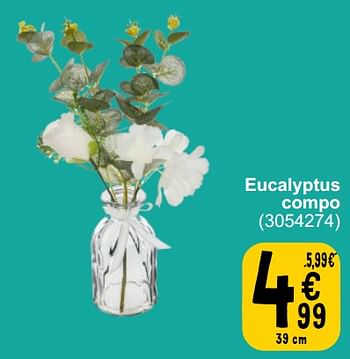 Promoties Eucalyptus compo - Huismerk - Cora - Geldig van 26/03/2024 tot 08/04/2024 bij Cora