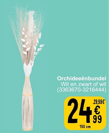 Promoties Orchideeënbundel wit en zwart of wit - Huismerk - Cora - Geldig van 26/03/2024 tot 08/04/2024 bij Cora