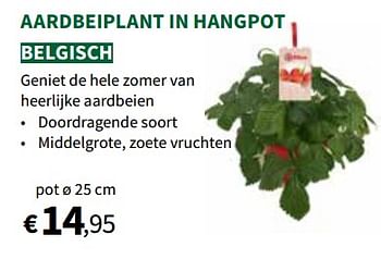 Promoties Aardbeiplant in hangpot - Huismerk - Horta - Geldig van 27/03/2024 tot 07/04/2024 bij Horta