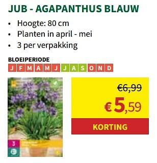 Promotions Agapanthus blauw - JUB - Valide de 27/03/2024 à 07/04/2024 chez Horta