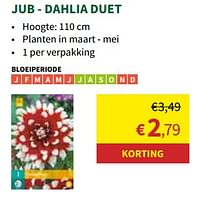 Dahlia duet-JUB