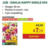 Dahlia happy single mix-JUB