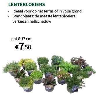 Promoties Lentebloeiers - Huismerk - Horta - Geldig van 27/03/2024 tot 07/04/2024 bij Horta