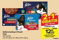 Kattenvoeding in pouch felix-Purina