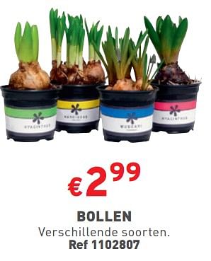 Promoties Bollen - Huismerk - Trafic  - Geldig van 27/03/2024 tot 31/03/2024 bij Trafic