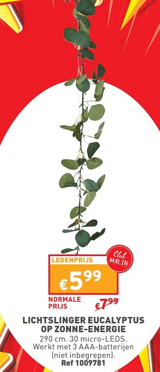 Promotions Lichtslinger eucalyptus op zonne-energie - Produit maison - Trafic  - Valide de 27/03/2024 à 31/03/2024 chez Trafic