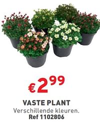 Vaste plant-Huismerk - Trafic 