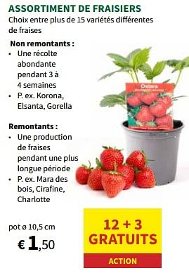 Promotions Assortiment de fraisiers - Produit maison - Horta - Valide de 27/03/2024 à 07/04/2024 chez Horta