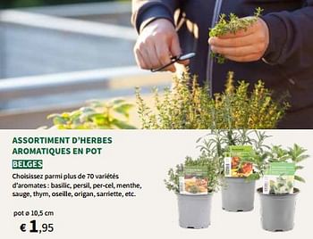Promotions Assortiment d’herbes aromatiques en pot - Produit maison - Horta - Valide de 27/03/2024 à 07/04/2024 chez Horta