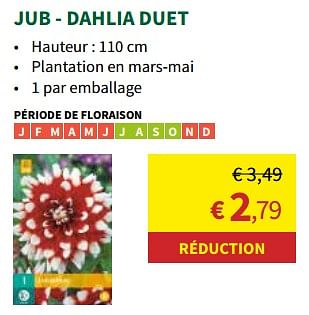 Promotions Jub - dahlia duet - JUB - Valide de 27/03/2024 à 07/04/2024 chez Horta