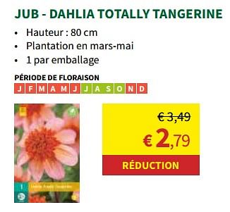 Promoties Jub - dahlia totally tangerine - JUB - Geldig van 27/03/2024 tot 07/04/2024 bij Horta