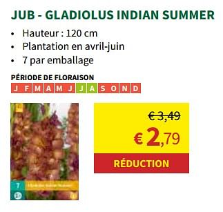 Promotions Jub - gladiolus indian summer - JUB - Valide de 27/03/2024 à 07/04/2024 chez Horta