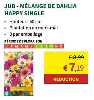 Promotions Jub - mélange de dahlia happy single - JUB - Valide de 27/03/2024 à 07/04/2024 chez Horta