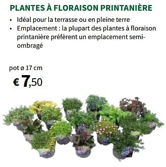Promoties Plantes à floraison printanière - Huismerk - Horta - Geldig van 27/03/2024 tot 07/04/2024 bij Horta