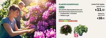 Promoties Plantes acidophiles - Huismerk - Horta - Geldig van 27/03/2024 tot 07/04/2024 bij Horta