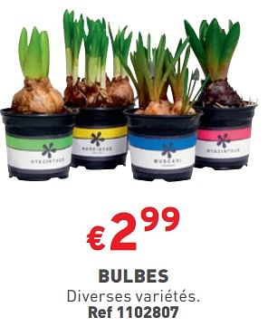 Promotions Bulbes - Produit maison - Trafic  - Valide de 27/03/2024 à 31/03/2024 chez Trafic